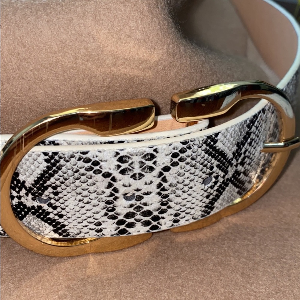 snake skin belt